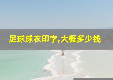 足球球衣印字,大概多少钱