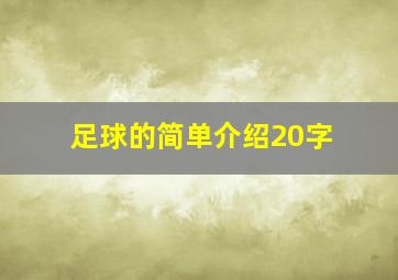 足球的简单介绍20字