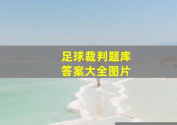 足球裁判题库答案大全图片