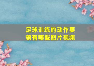 足球训练的动作要领有哪些图片视频