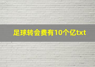 足球转会费有10个亿txt