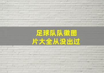 足球队队徽图片大全从没出过