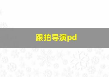 跟拍导演pd