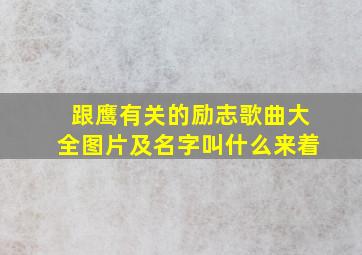 跟鹰有关的励志歌曲大全图片及名字叫什么来着