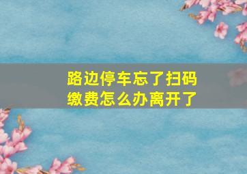 路边停车忘了扫码缴费怎么办离开了