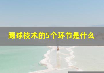 踢球技术的5个环节是什么