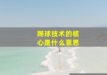 踢球技术的核心是什么意思