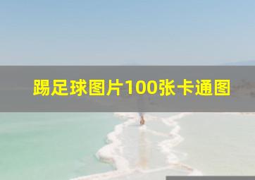 踢足球图片100张卡通图