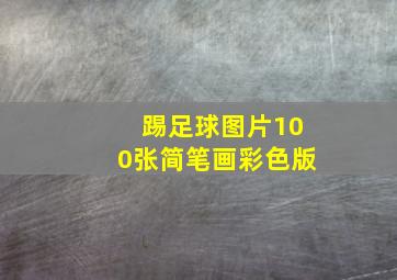 踢足球图片100张简笔画彩色版