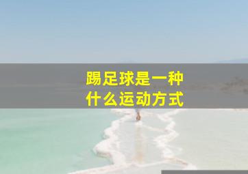 踢足球是一种什么运动方式