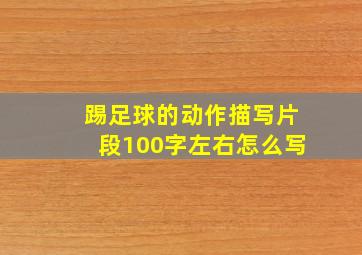 踢足球的动作描写片段100字左右怎么写