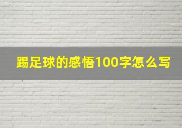 踢足球的感悟100字怎么写