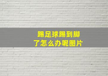 踢足球踢到脚了怎么办呢图片