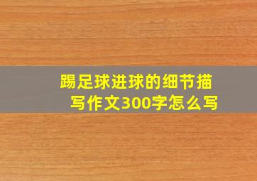 踢足球进球的细节描写作文300字怎么写