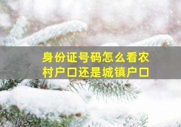 身份证号码怎么看农村户口还是城镇户口