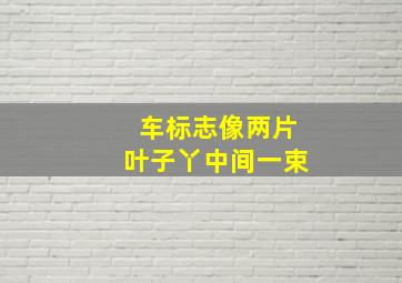 车标志像两片叶子丫中间一束