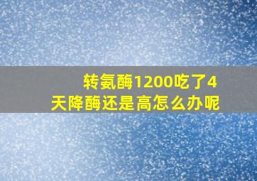 转氨酶1200吃了4天降酶还是高怎么办呢