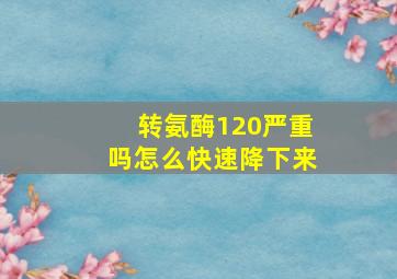 转氨酶120严重吗怎么快速降下来