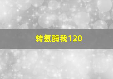 转氨酶我120