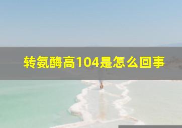 转氨酶高104是怎么回事