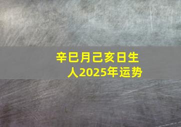 辛巳月己亥日生人2025年运势