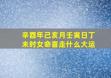 辛酉年己亥月壬寅日丁未时女命喜走什么大运