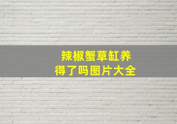 辣椒蟹草缸养得了吗图片大全