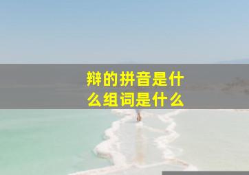 辩的拼音是什么组词是什么