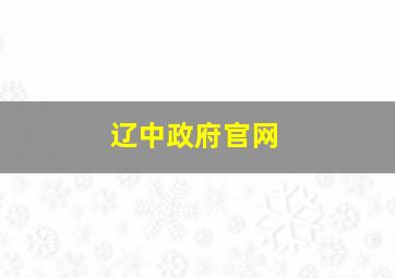 辽中政府官网