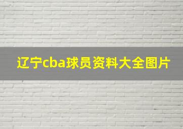 辽宁cba球员资料大全图片