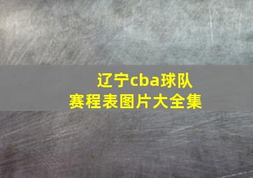 辽宁cba球队赛程表图片大全集