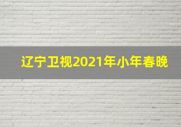 辽宁卫视2021年小年春晚