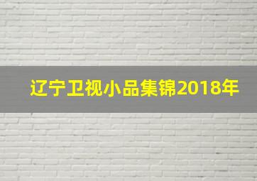 辽宁卫视小品集锦2018年