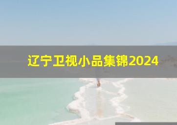 辽宁卫视小品集锦2024