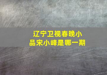 辽宁卫视春晚小品宋小峰是哪一期