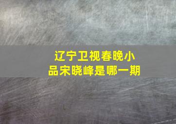 辽宁卫视春晚小品宋晓峰是哪一期