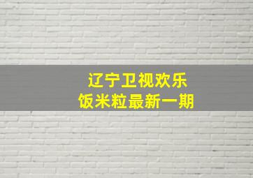 辽宁卫视欢乐饭米粒最新一期