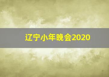 辽宁小年晚会2020