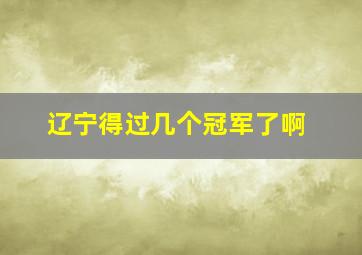 辽宁得过几个冠军了啊