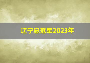 辽宁总冠军2023年