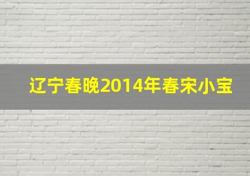 辽宁春晚2014年春宋小宝