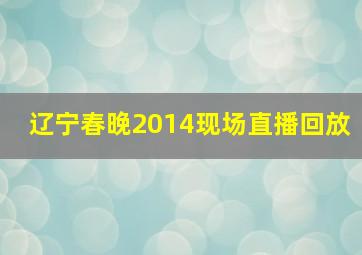 辽宁春晚2014现场直播回放