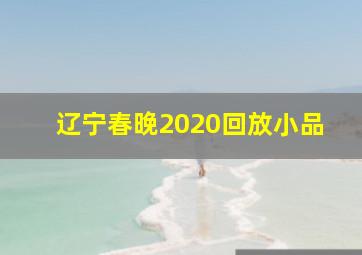 辽宁春晚2020回放小品