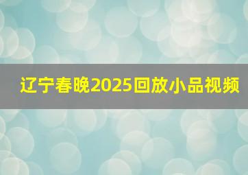 辽宁春晚2025回放小品视频