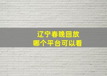 辽宁春晚回放哪个平台可以看