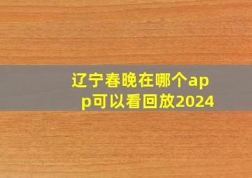 辽宁春晚在哪个app可以看回放2024