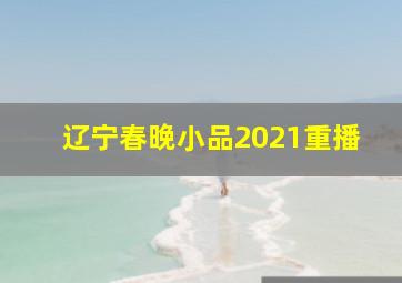 辽宁春晚小品2021重播