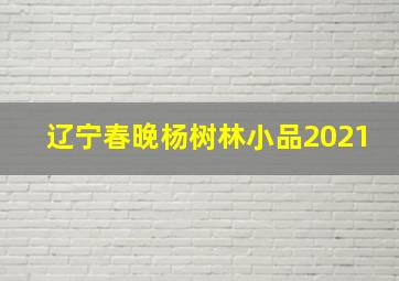 辽宁春晚杨树林小品2021