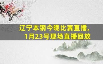 辽宁本钢今晚比赛直播,1月23号现场直播回放