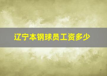 辽宁本钢球员工资多少